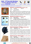 meridiane in concorso