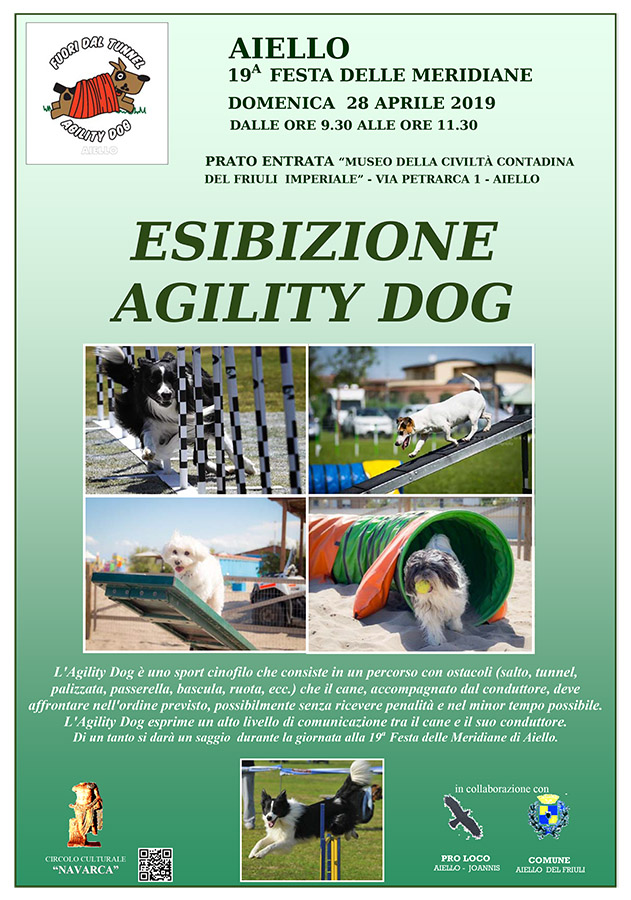 L'agility Dog di Aiello "Fuori dal tunnel" organizza un esibizione domenica 28 aprile nel contesto della 19 Festa delle Meridiane ad Aiello del Friuli