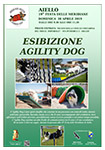 esibizione agility dog