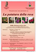 23 Febbraio: Potatura delle rose