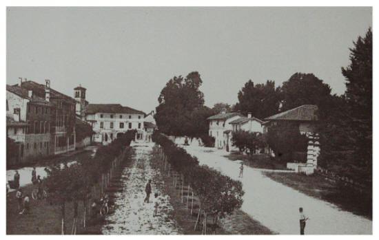 Anteprima della videocassetta 2