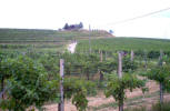 Visualizza anteprima 2